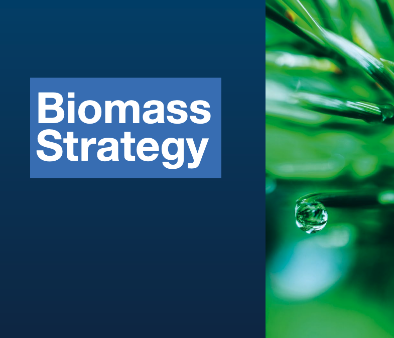 UK Biomass strategy released